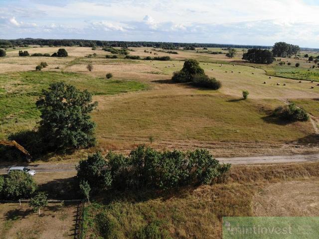 Działka 4626 m2 w Żarnowie – spokój i blisko natury