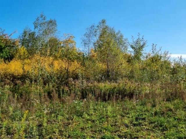 Działka 46 050 m², Żółwin