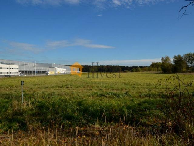 Działka 46 831 m², Rzeszotary