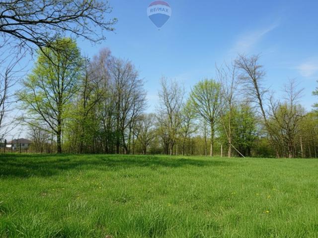 Działka 4759 m² pod dom i działalność w Jejkowicach