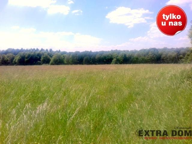 Działka 47 000 m², Ostrzyca