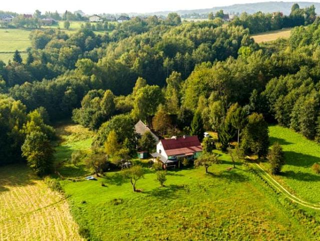 Działka 47 100 m², Lichwin