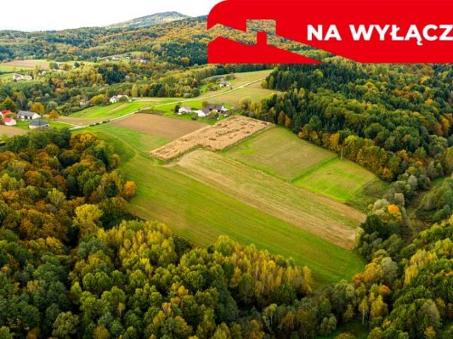 Działka 47 500 m², Lichwin
