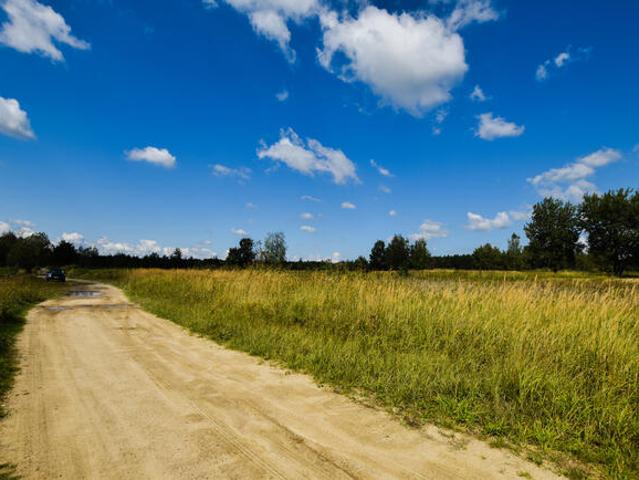 Działka 480ar Budy Głogowskie