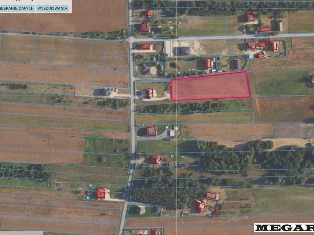 Działka 4900 m² z mediami, cisza i prywatność