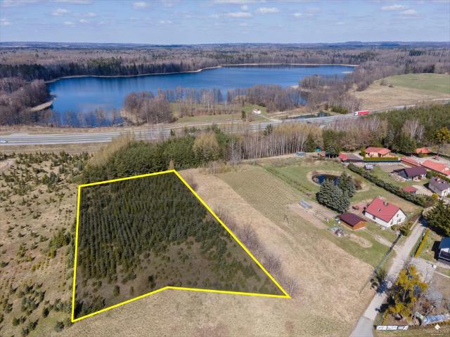 Działka 4900 m² z warunkami zabudowy, świerki, wjazd