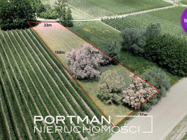 Działka 4992 m2 z warunkami zabudowy i mediami
