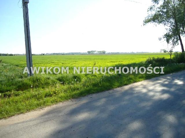 Działka 49 800 m², Kłudno Nowe
