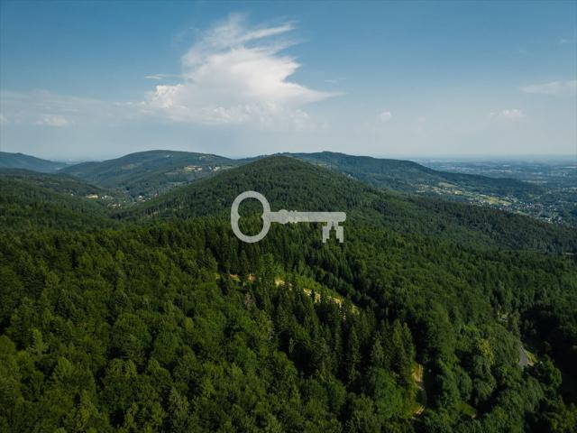 Sprzedam działkę 4000 m² pod rezydencję lub inwestycję
