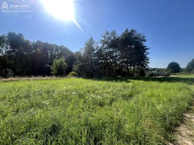 Działka 400 m², Wodzisław Śląski