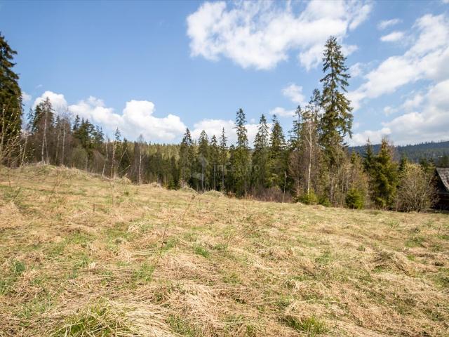 Działka 4046 m² z lasem i widokiem na Tatry w Nowym Targu