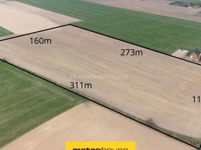 Działka 40 000 m², Grabów Wójtostwo