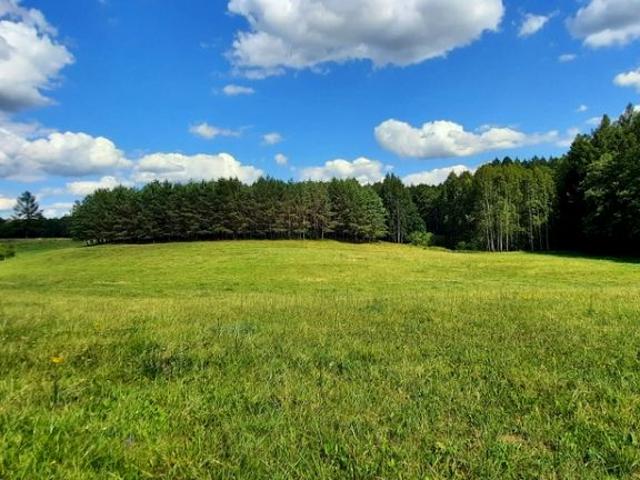 Działka 40 000 m², Konstantynówka