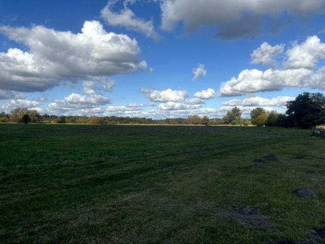 Działka 40 200 m², Nowe Ręczaje