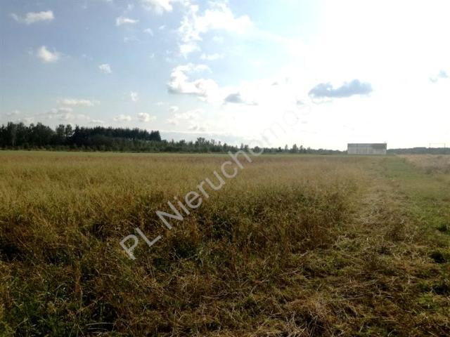 Działka 40 600 m², Krze Duże