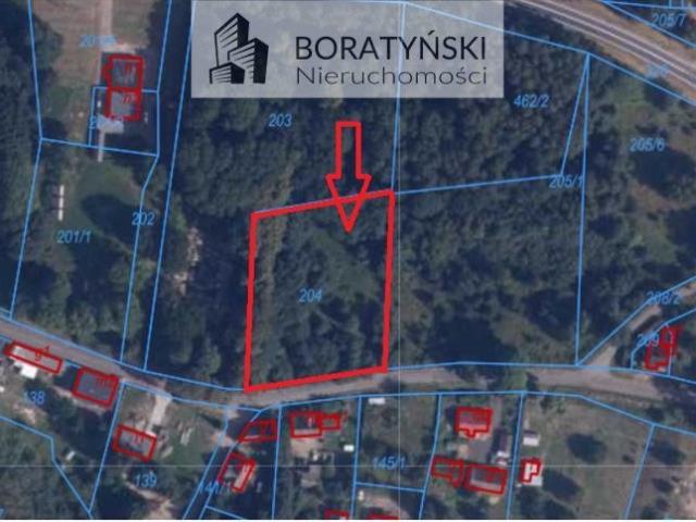 Działka 4100 m² pod usługi i turystykę w Porostie