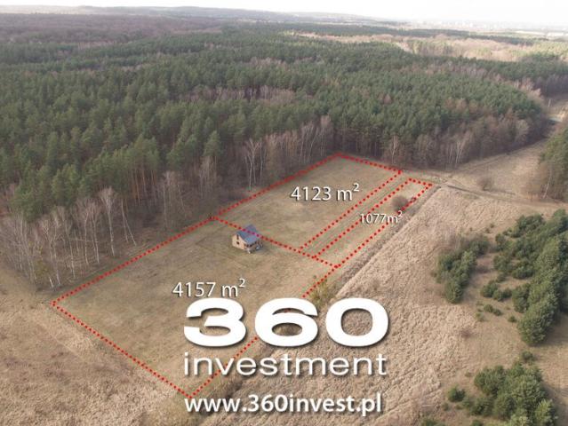 Działka 4157 m² z pozwoleniem na dom i lasem