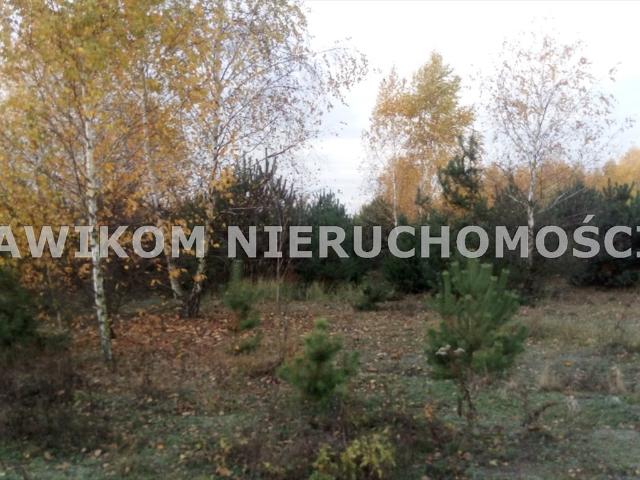 Działka 4170 m² pod dom z ogrodem, blisko Grzymka