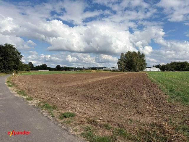 Działka 4180 m² z mediami, asfalt, otulina przyrody