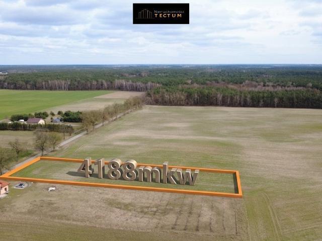 Działka 4188 m² z warunkami zabudowy i mediami