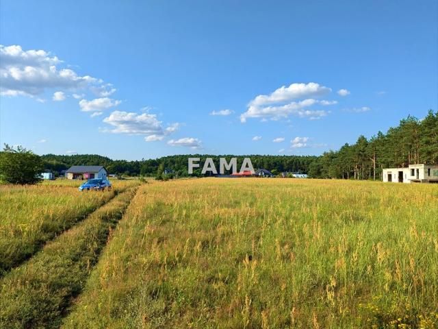 Działka 4200 m² w Dębniakach, blisko Włocławka