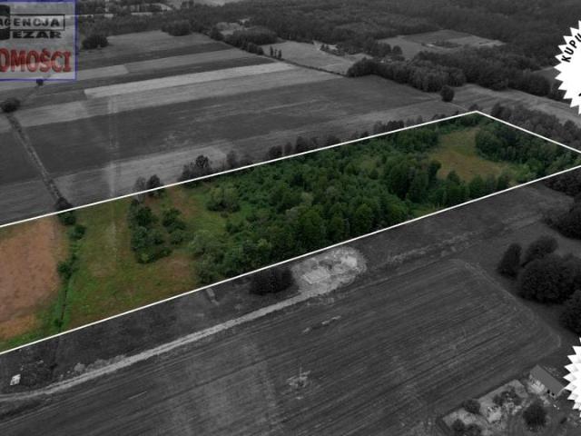 Działka 43 900 m², Papiernia
