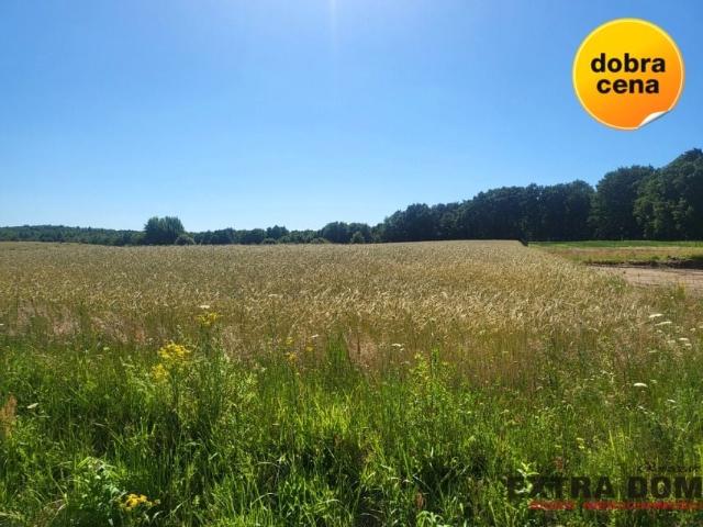 Działka 4 000 m², Goleniów