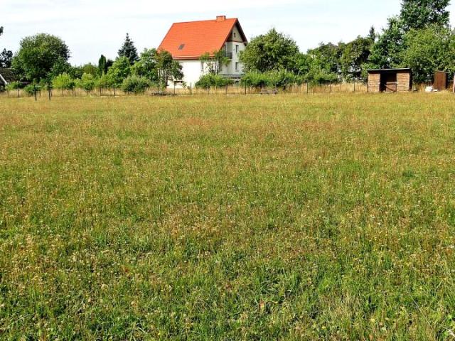 Działka 4 000 m², Letniki