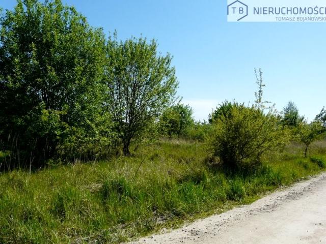 Działka 4 000 m², Lusowo