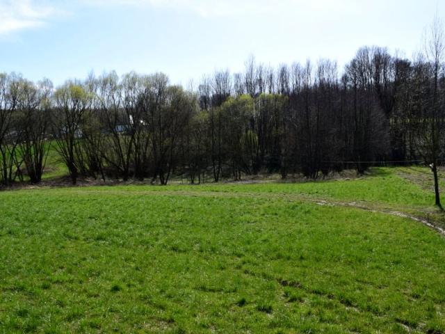 Działka 4 000 m², Manasterz