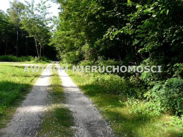 Działka 4 020 m², Olszanka