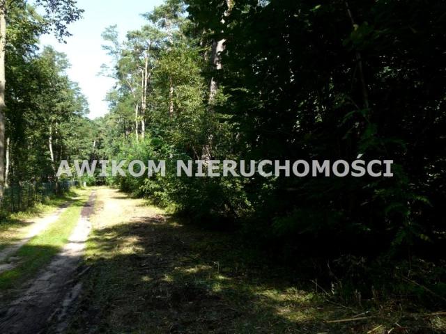 Działka 4 034 m², Olszanka