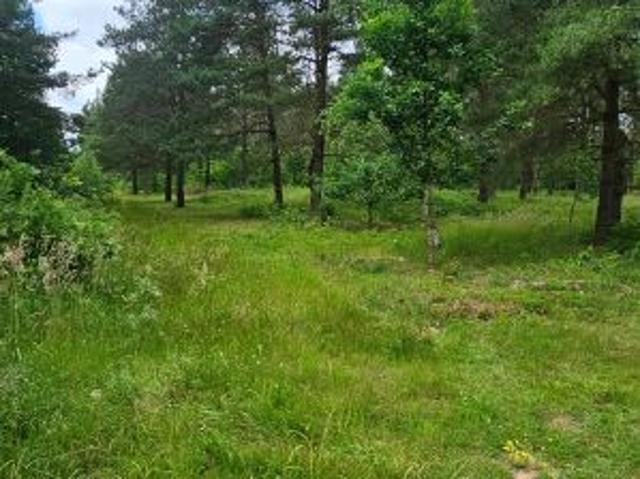 Działka 4 056 m², Ruś