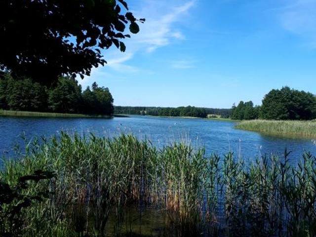Działka 4 089 m², Dobra Wola