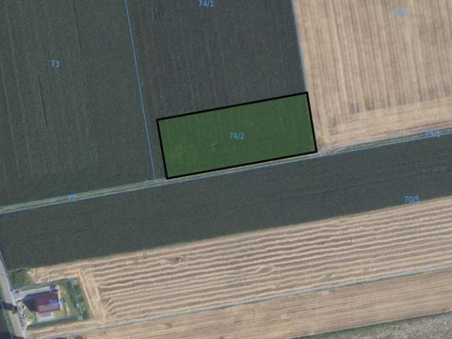Działka 4 081 m², Kijewo Królewskie