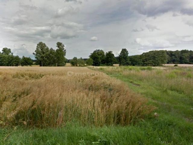 Działka 4 108 m², Rybojedzko