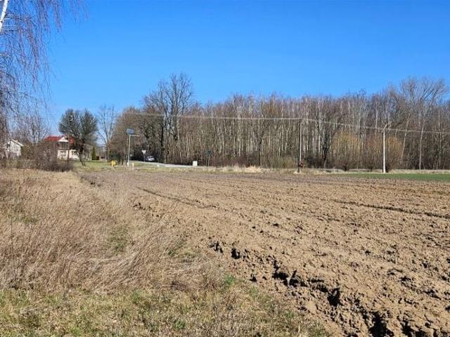 Działka 4 130 m², Delastowice