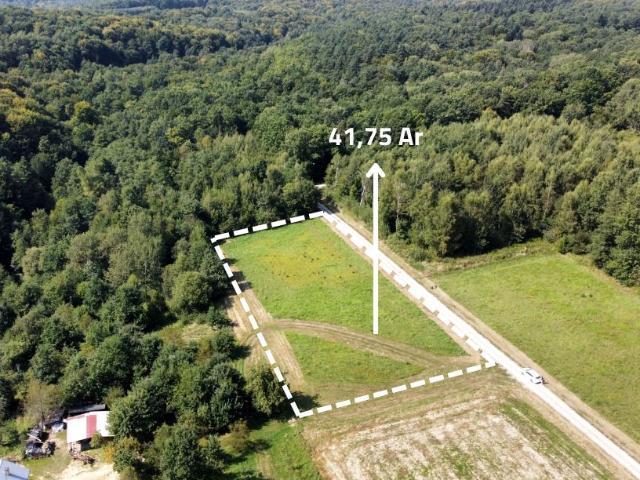 Działka 4 175 m², Nowy Borek