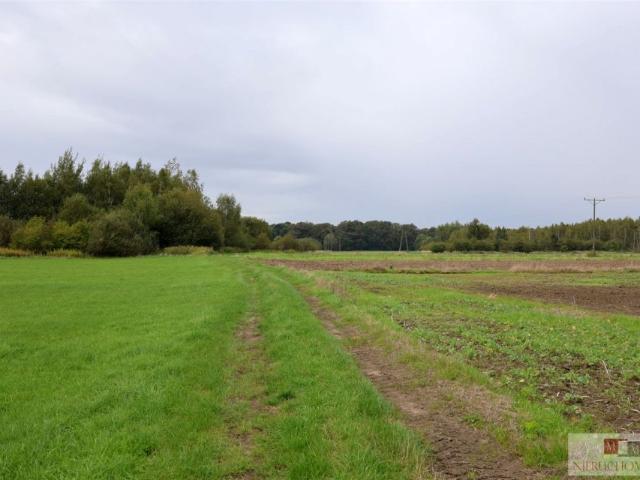 Działka 4 193 m², Nowa Jamka