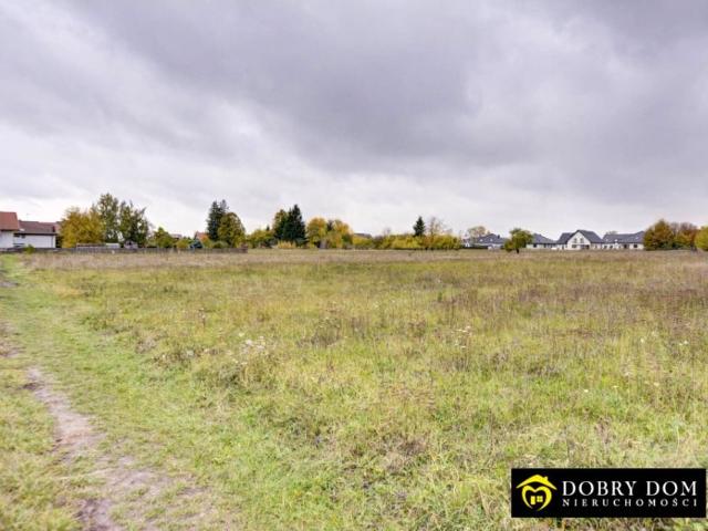 Działka 4 200 m², Bielsk Podlaski