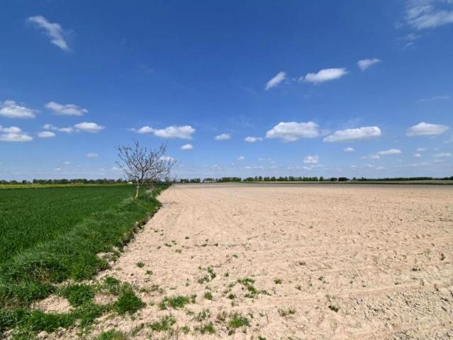 Działka 4 200 m², Stoczek