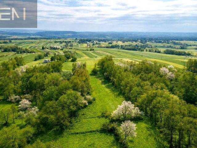 Działka 4 215 m², Niepla