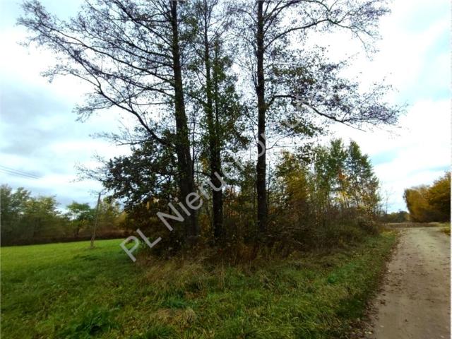 Działka 4 239 m², Stare Budy