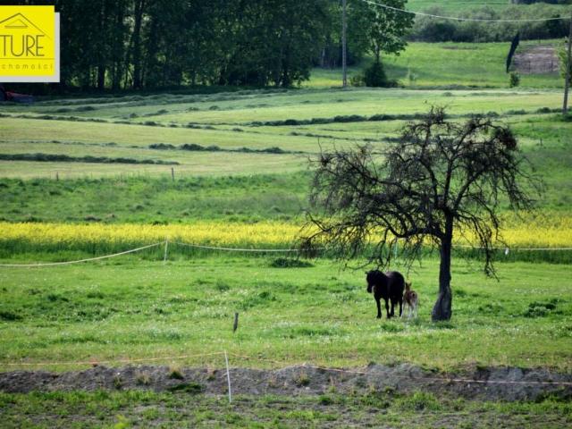 Działka 4 254 m², Liksajny