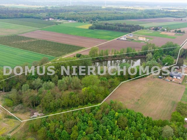 Działka 4,2 ha z stawem, potencjał sport i rekreacja