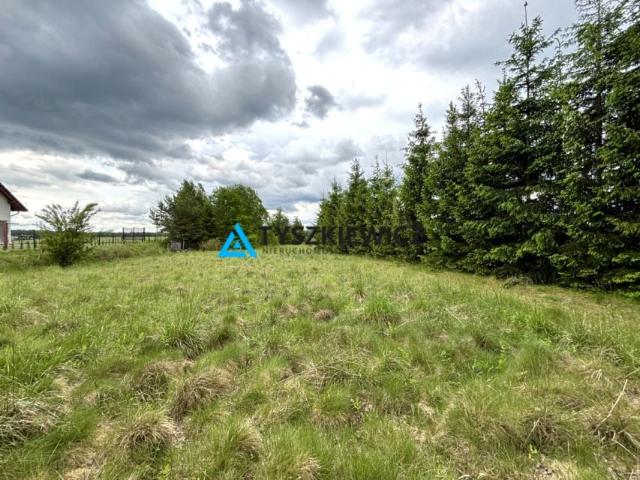 Działka 4 300 m², Osowo Leśne