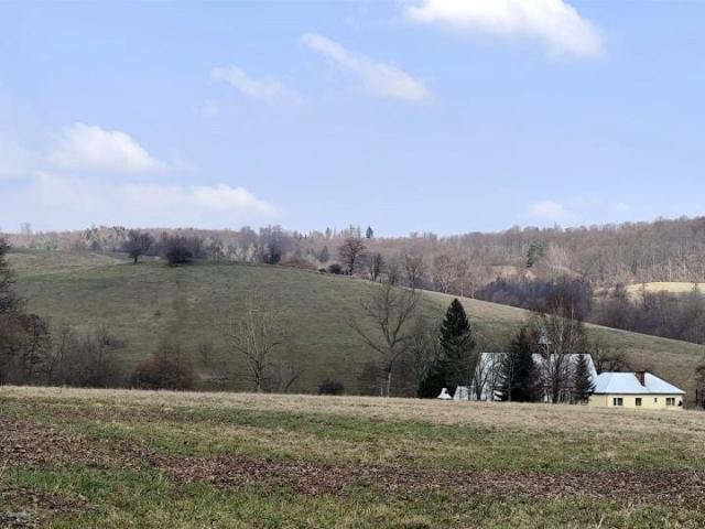 Działka 4 300 m², Zagórze Śląskie