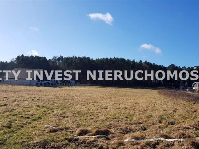 Działka 4 300 m², Zielona Góra