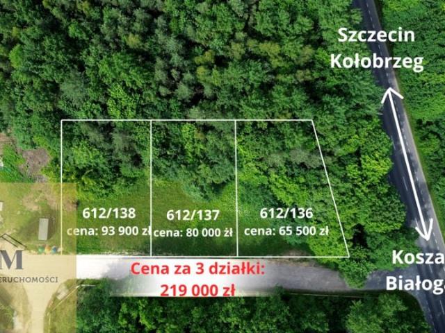 Działka 4 312 m², Daszewo