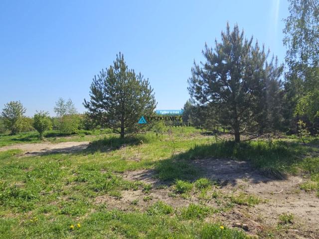 Działka 4 397 m², Graniczna Wieś